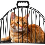 Escape-Proof Metal Cat Bathing Cage,Scratch-Resistant Grid,Dual Doors,Portable Shower Cage with Carry Handle for Small Cats (Small)-0