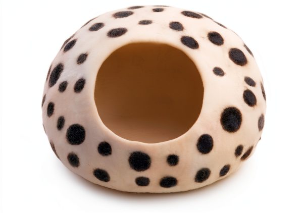 Merino Wool Cat Cave Bed Woolygon Foldable Felt Enclosure for Cats-4